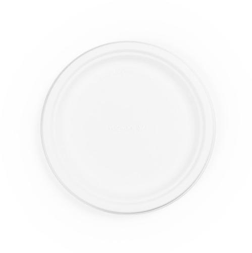 Bagasse Paper Plate 9''                 D06010