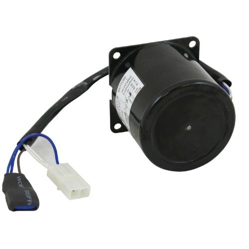 Paddle Motor for T317 T318