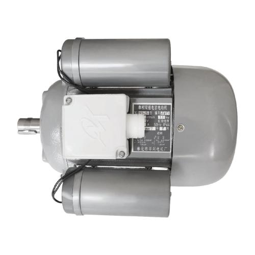 Buffalo Motor for CP821