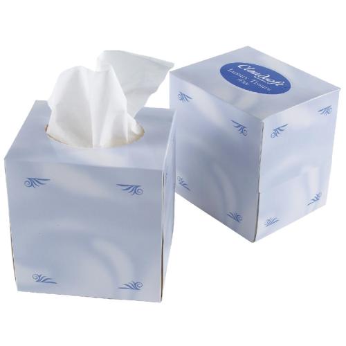 Cube Facial Tissues 2 ply White (Case 24)