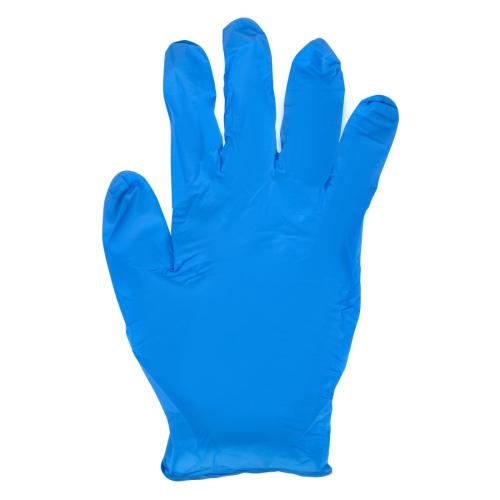 Powder Free Nitrile Gloves L